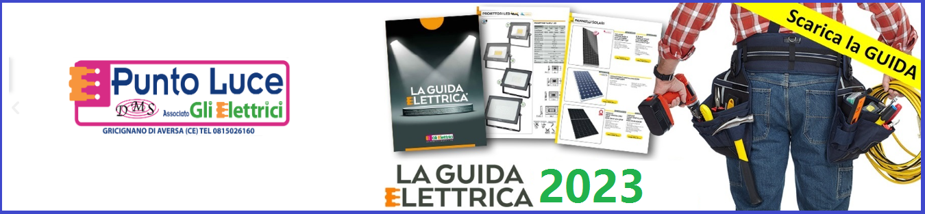 Scarica subito la Guida Elettrica 2025!