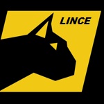 Lince